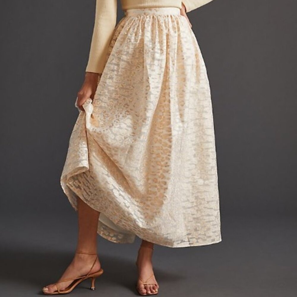 Pankaj Nidhi Burnout Shimmer Maxi Skirt from Anthropologie in Size 2